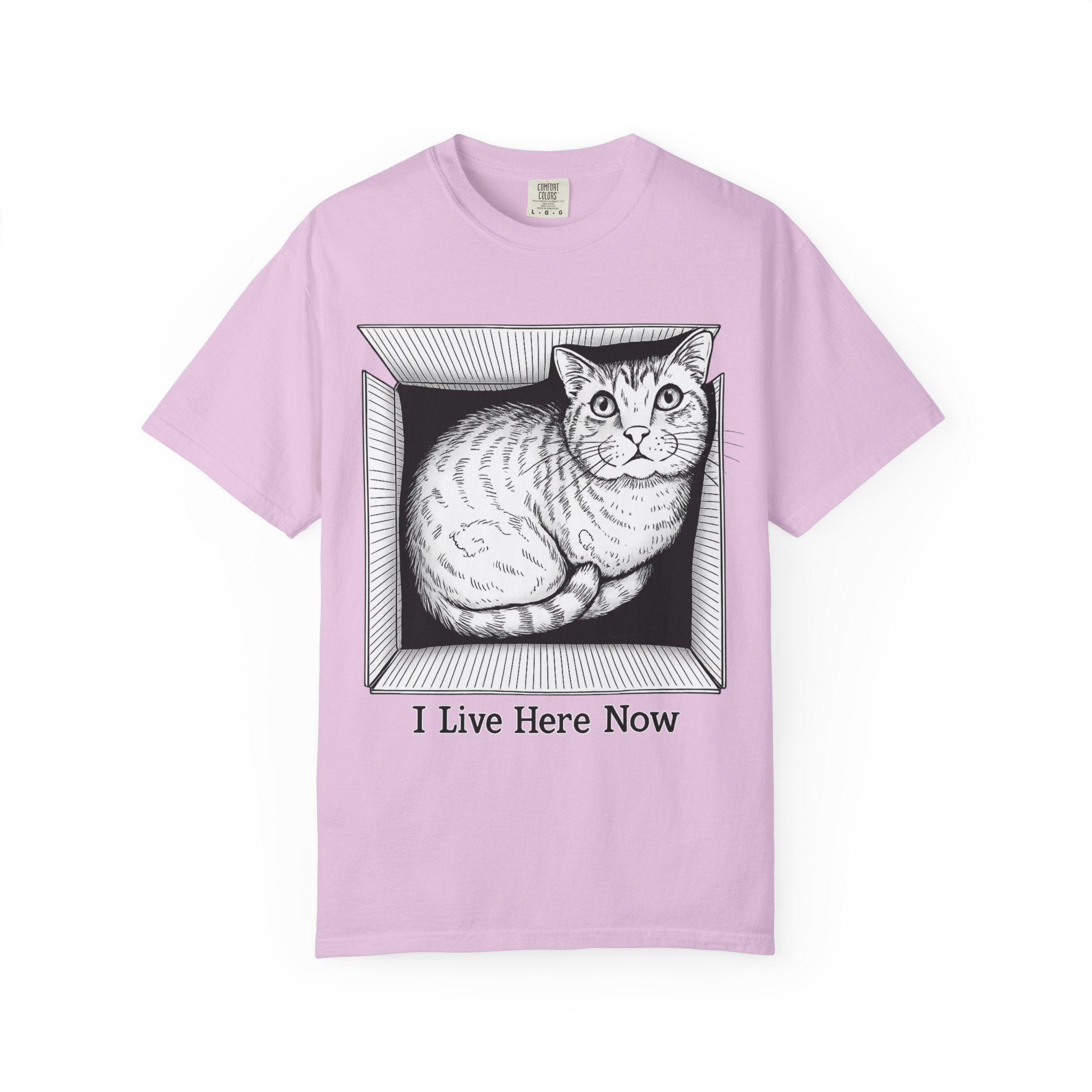I Live Here Now | Floyd Cat in Box Comfort Colors Tee | Funny Cat Lover Shirt | Tabby Cat Gift