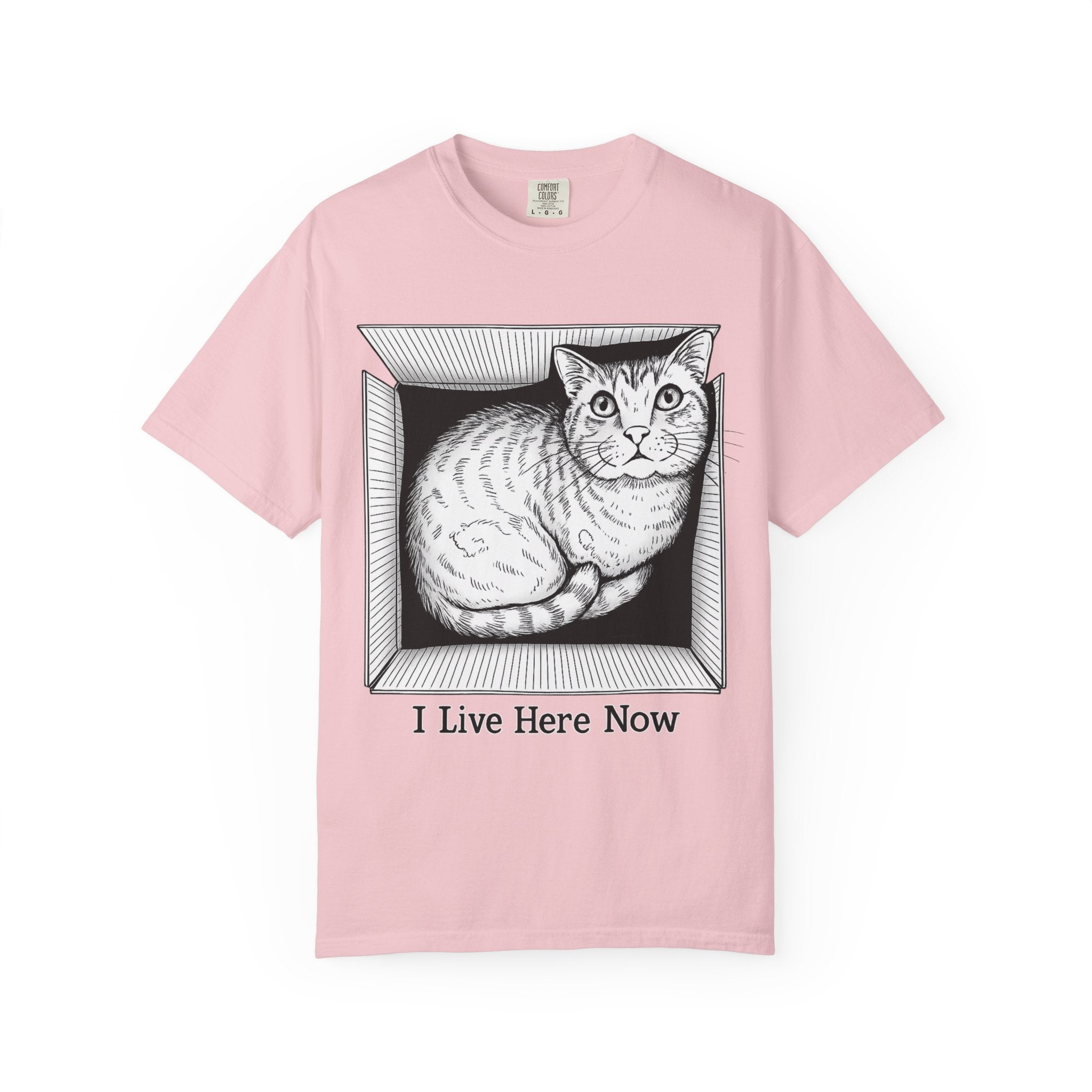 I Live Here Now | Floyd Cat in Box Comfort Colors Tee | Funny Cat Lover Shirt | Tabby Cat Gift