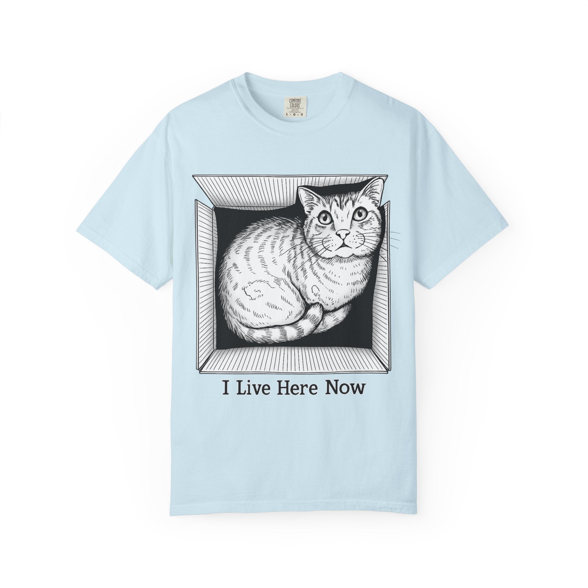 I Live Here Now | Floyd Cat in Box Comfort Colors Tee | Funny Cat Lover Shirt | Tabby Cat Gift