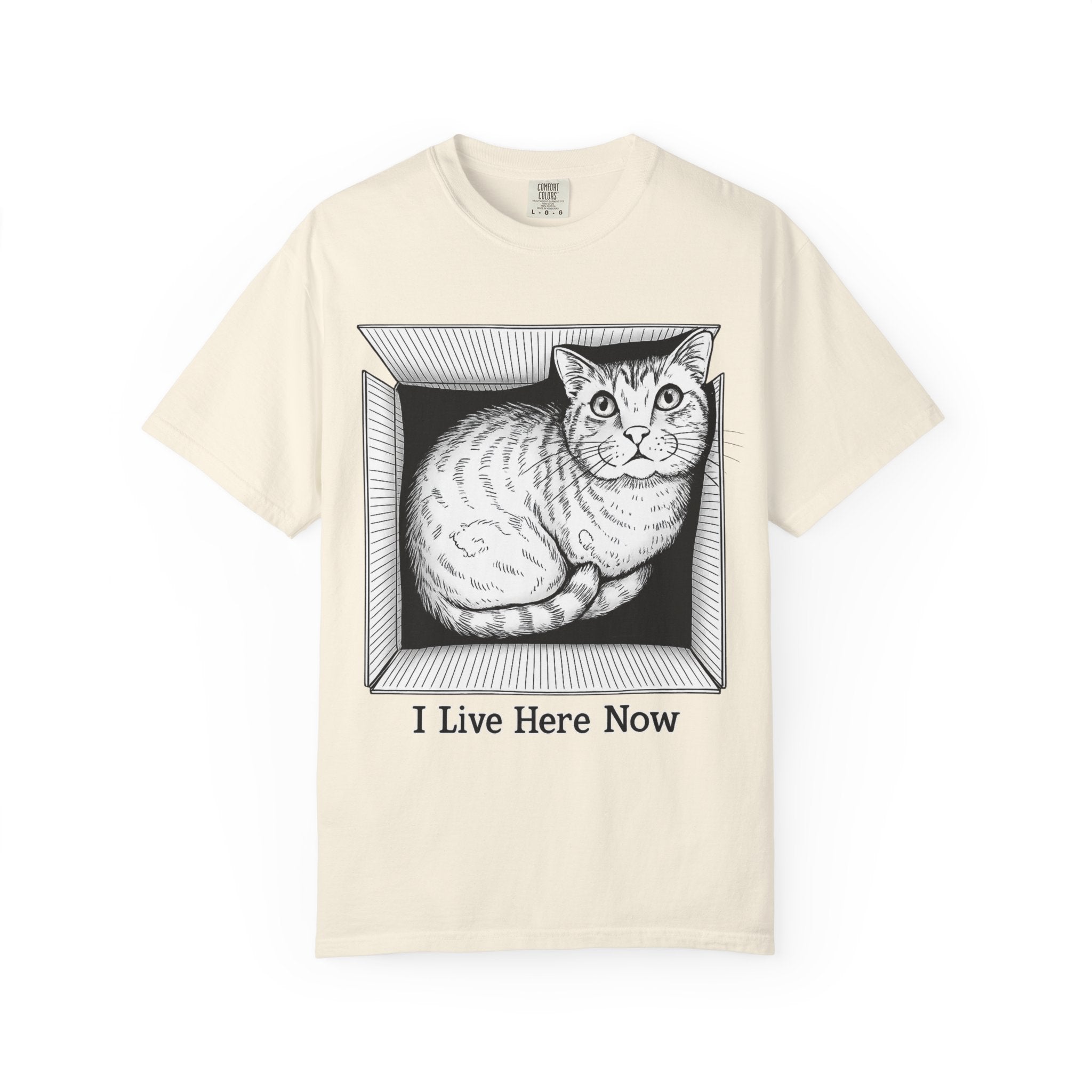 I Live Here Now | Floyd Cat in Box Comfort Colors Tee | Funny Cat Lover Shirt | Tabby Cat Gift